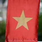Flag of Viet Nam